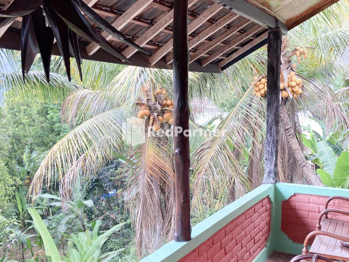 Taman Ayu Homestay Munduk Mitra Reddoorz Екстер'єр фото